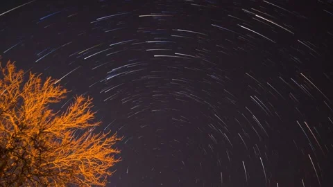 Stars Trailing Across Fall Sky, Time-lapse. 4k 库存影片 150659176