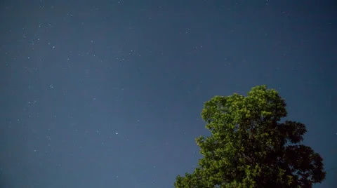 Stars with tree in Colombia Stock-Footage 63753029