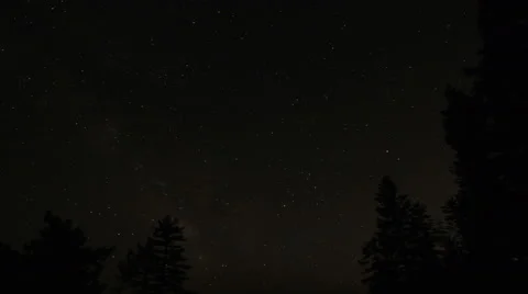 Stars Trees time lapse Stock Footage 53771738