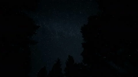 Stars Turn Through Trees, Time Lapse Stock-Footage 56716081