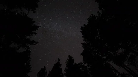 Stars Turn Through Trees, Time Lapse Stock-Footage 56716212