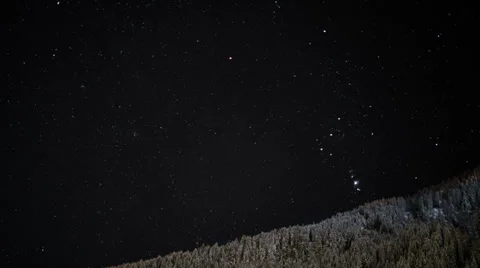 Stars winter forest time lapse HD Stock Footage 36339242