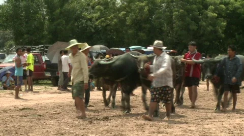To the start 2 Stock Footage 485224