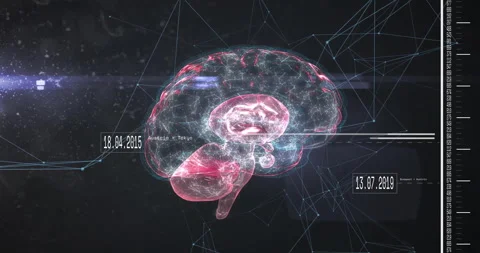 On start 3D brain rotating with sliding date stamps and pulsing network lines Stock Footage 309808033