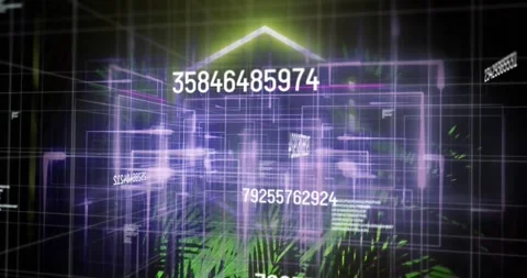 At start 3D grid codes morphing into cube, fronds emerging then hexagon glowing Stock Footage 317228775