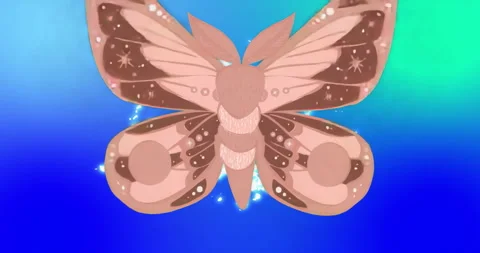 Animated Moth Stock Videos – Royalty-Free HD & 4K Videos