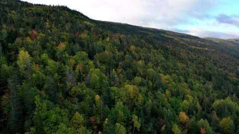Start of Autumn fly over Stock Footage 162338358