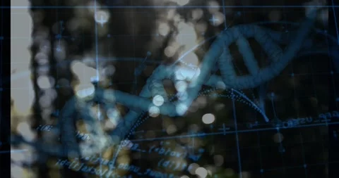 At start blue DNA helix entering center adding data nodes rotating exiting Video stock 317156853