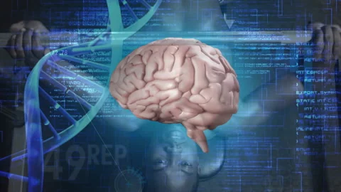 On start brain hologram rotating while code rising and DNA helix pulsing showing Stock Footage 316338757