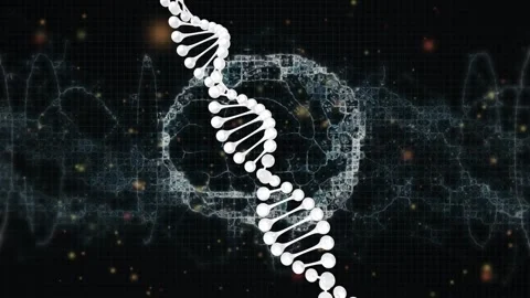 On start DNA helix rotating and bobbing over pulsing wireframe brain waveform, Stock Footage 334418670