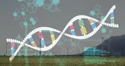 On start, DNA helix stretching over plain, code flickering and hexagons pulsing Stock Footage 332288800
