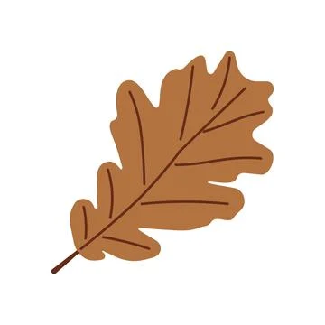 Start of fall. Cozy autumn element. Oak leaves on a white background. Warm Stock-Illustration