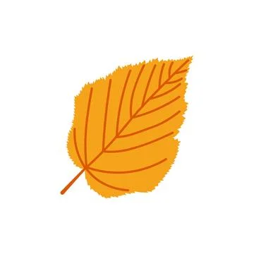 Start of fall. Cozy autumn element. Birch leaves on a white background. Warm イラスト素材