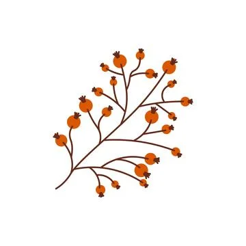 Start of fall. Cozy autumn element. Berries leaves on a white background. Warm Illustrazione stock