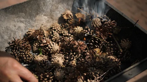 Start Fire in Fireplace with Pine Conifer cone. Summer camping outdoors. Cooking Stock Footage 128449058