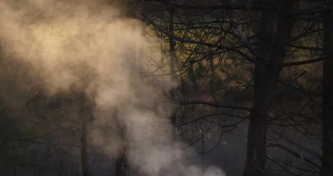 Start of a fire Vídeo Stock 169965648