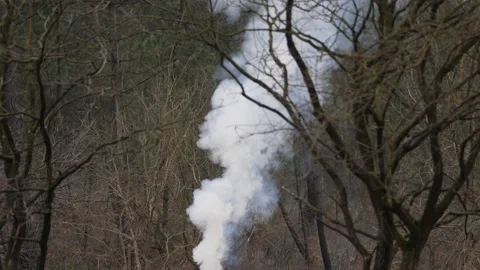 Start of fire Vídeo Stock 170332253