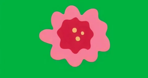 At start flower emerging transparent backdrop glitch flickering and shadow Stock Footage 317456569