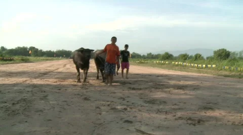 To the start 스톡 동영상 485212