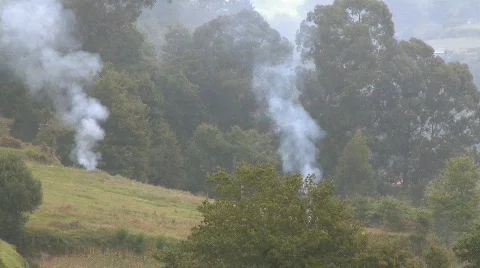 Start a forest fire  Stock Footage 440831