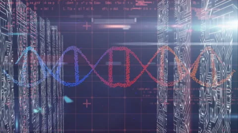 On start helix undulating amid server racks scrolling code and sweeping flares Stock Footage 311885139