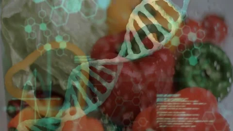 On start hexagon fading over vegetables, 3D-render helix rotating and code Stock Footage 328363497