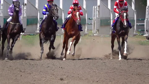 Start of the Horse Racing at the Racetrack. Stockbeeldmateriaal 93562453