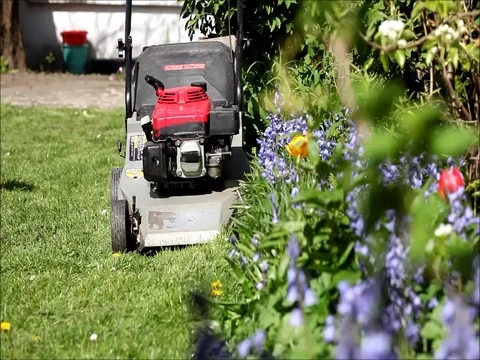 Start a lawnmower Stock Footage 77097495