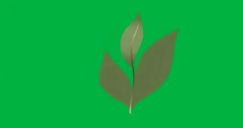 On start leaf icon appearing on transparent canvas, glow pulsing, pixels Stock Footage 317456626