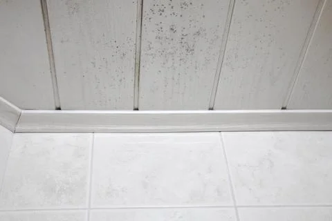 Start of mold build-up on bathroom ceiling, still with simple cleaning solution Stock Photos