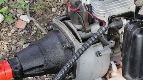 Start the motor trimmer Stock Footage 76152237