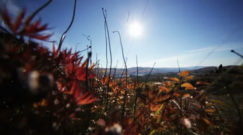 Start a new day Stock Footage 22706333