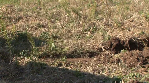 Start plowing the land with a tractor Stock Footage 35451456