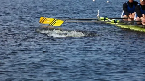 Start of the race on rowing 動画素材 7765865