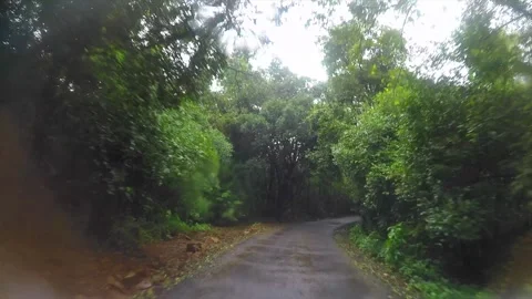 Start raining and travel through dense forest in monsoon season in india Stock Footage 310779305