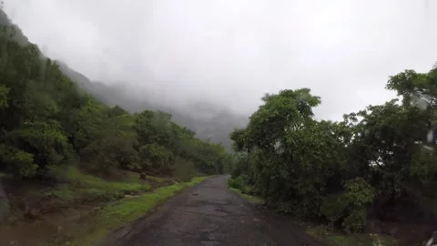 Start raining fog, and driving through in forest at monsoon season in india Stock Footage 310779211