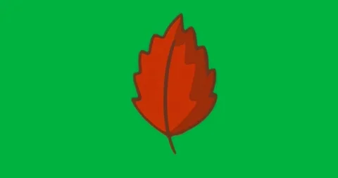 At start red leaf showing pixel noise flickering around edges on transparent Stock Footage 317456508