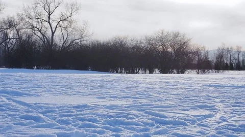 The start of the ski race in the Park Stock Footage 84589073