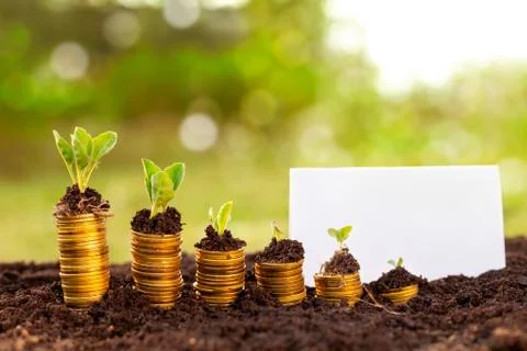 Start with small saving Stock Photos