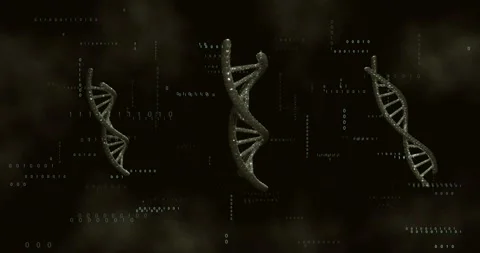 On start three DNA helices drifting rotating while binary swirling visualizing Stock Footage 318194642