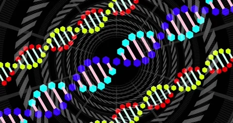 At start, three helix forms entering, spinning, shifting and oscillating to Stock Footage 320288264