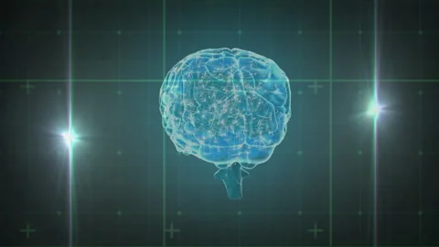 On start translucent blue brain rotating clockwise revealing neural pathways in Video stock 313169525