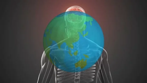 On start translucent skeleton turning right while rotating globe showing medical Stock Footage 317228309