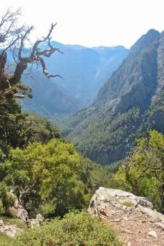 Start trip of Samaria gorge Stock Photos