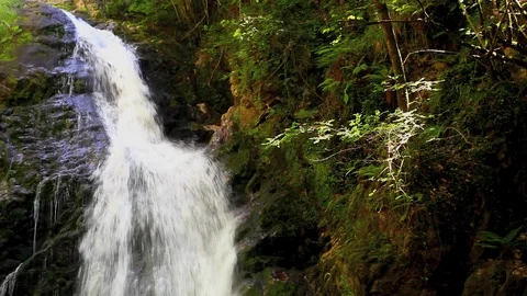 Start Waterfall Video stock 88679913