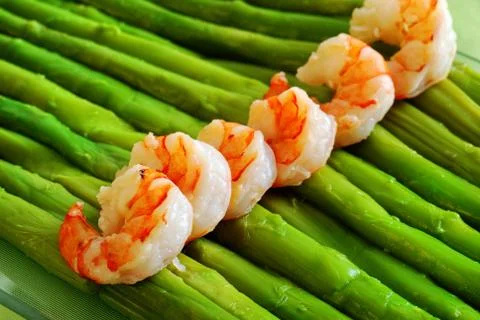 Starter Stock Photos