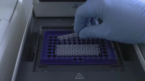 Starting and preparing the PCR cycle. High quality 4k footage Stock Footage 263256904