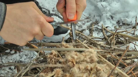 Starting a campfire with a metal match Stock Footage 47654297