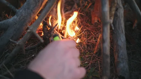 Starting a Campfire Using Lighter and Dry Wood Video stock 323563166