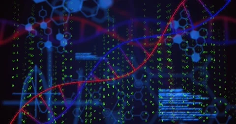 Starting cascading green binary flow red and blue curves twisting into helix Stock Footage 317206820